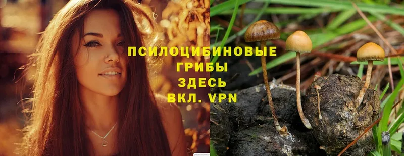 Галлюциногенные грибы Magic Shrooms  Пущино 